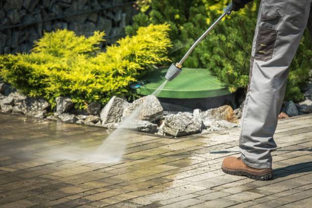 Best Roof Washing  in Graceville, FL