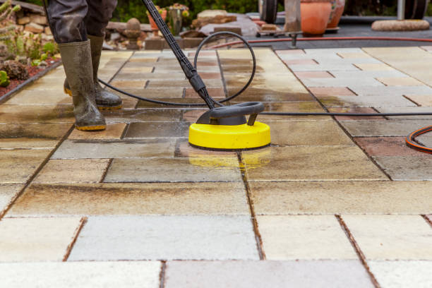 Best Solar Panel Cleaning  in Graceville, FL